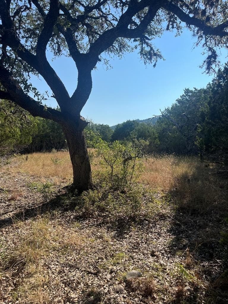 3.09 acres in Bandera County - photo 12