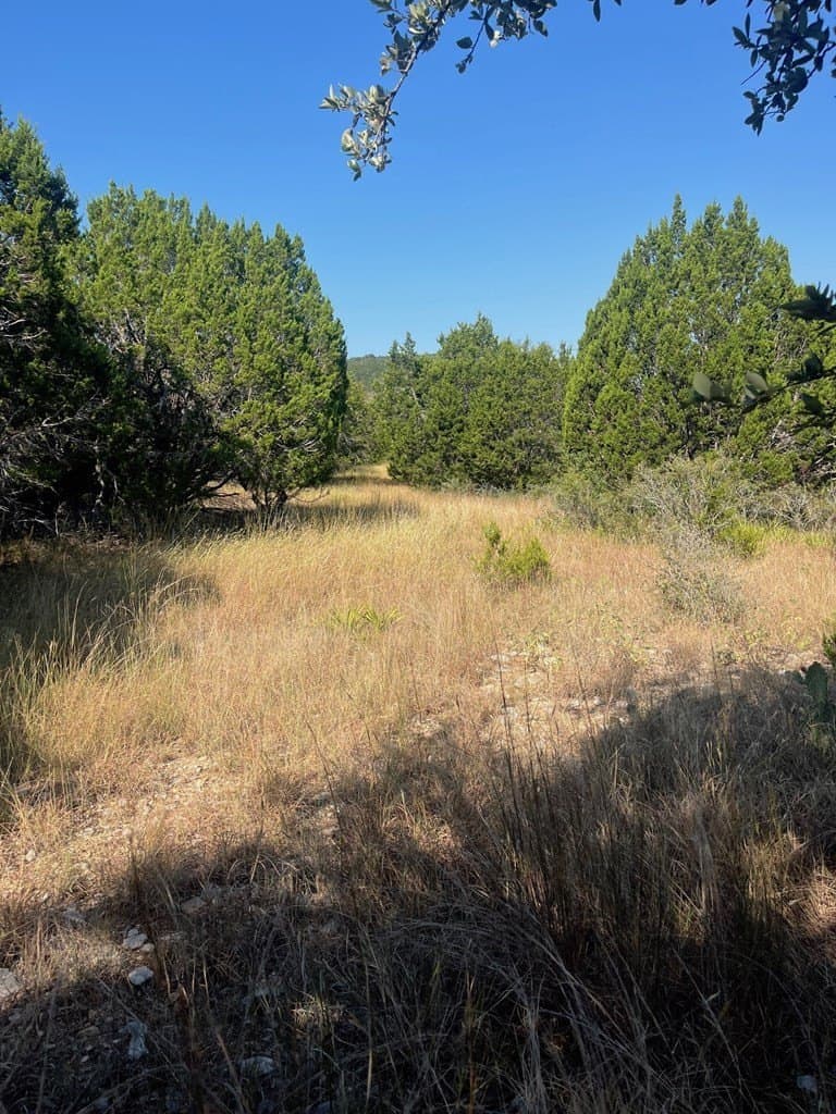 3.09 acres in Bandera County - photo 20