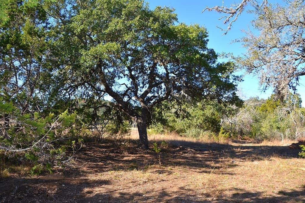 3.09 acres in Bandera County featured view