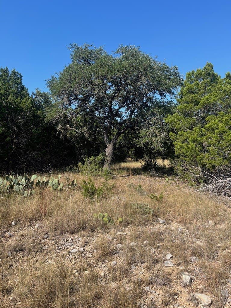 3.09 acres in Bandera County - photo 18
