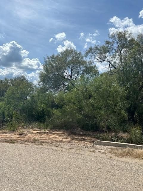 2 acres in Frio County gallery image 4