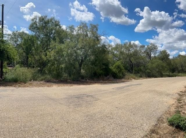 2 acres in Frio County gallery image 2