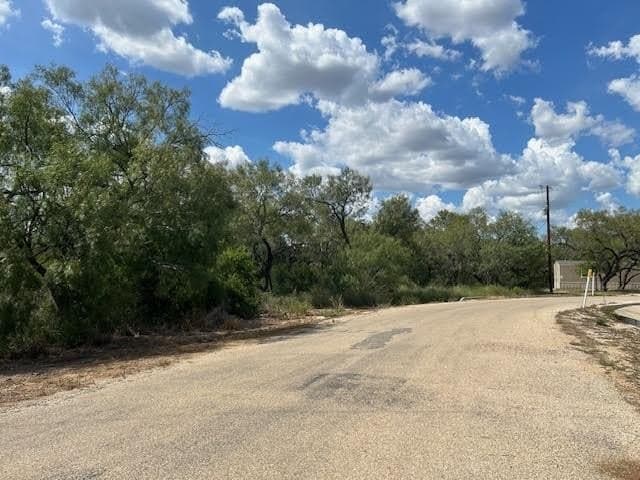 2 acres in Frio County gallery image 3