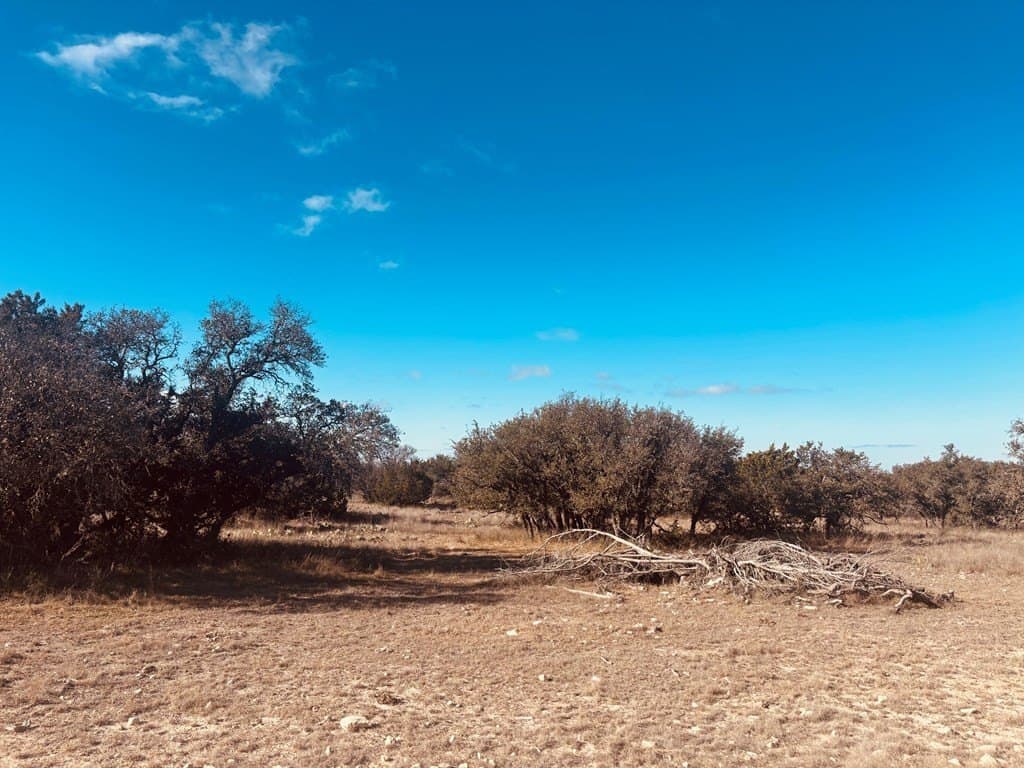 36.09 acres in Schleicher County - photo 10