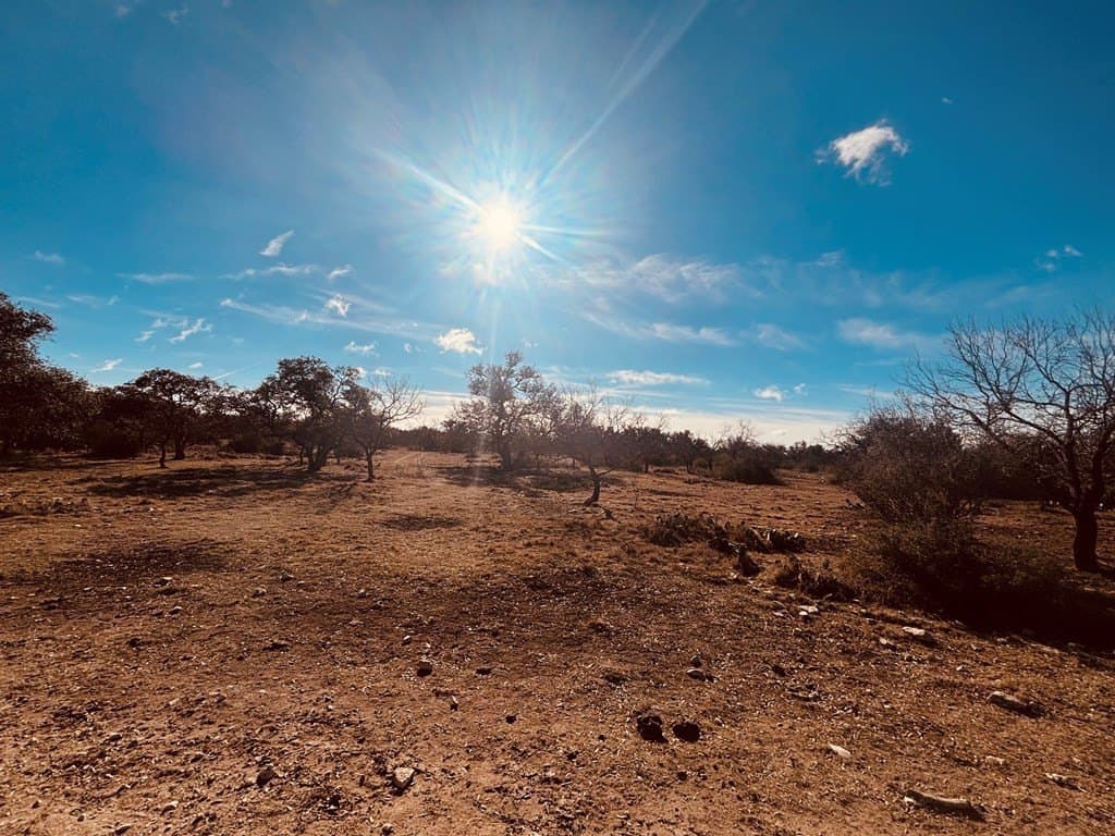 36.09 acres in Schleicher County featured view