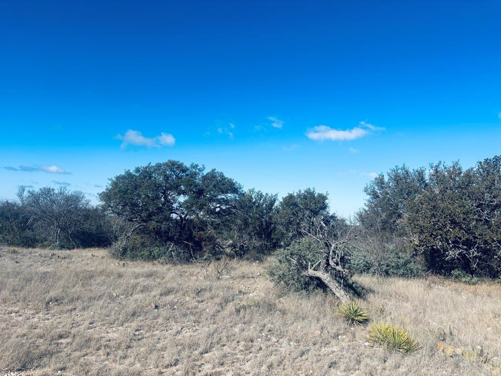 36.09 acres in Schleicher County - photo 6