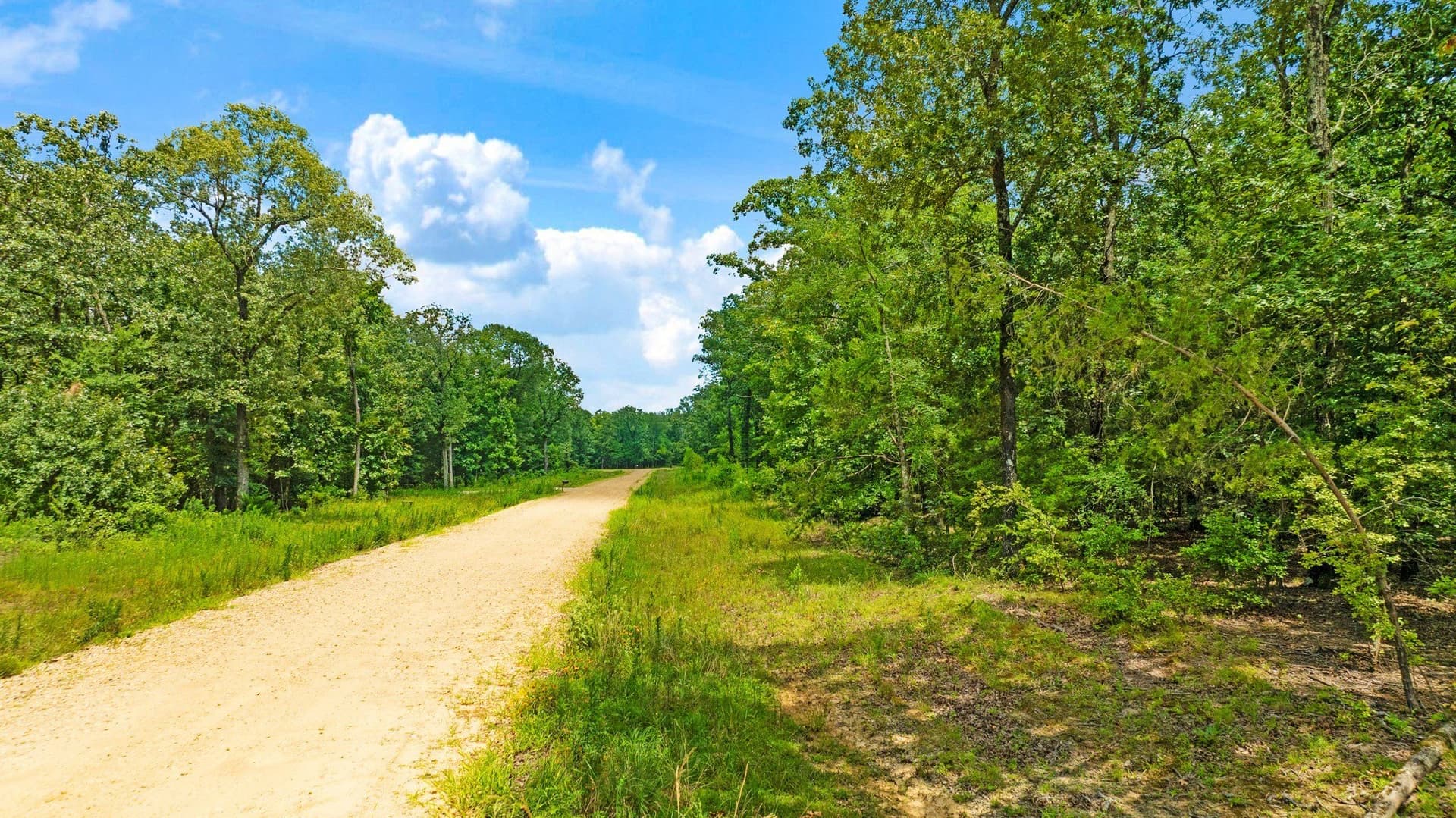 5.6 acres in Lamar County - photo 17
