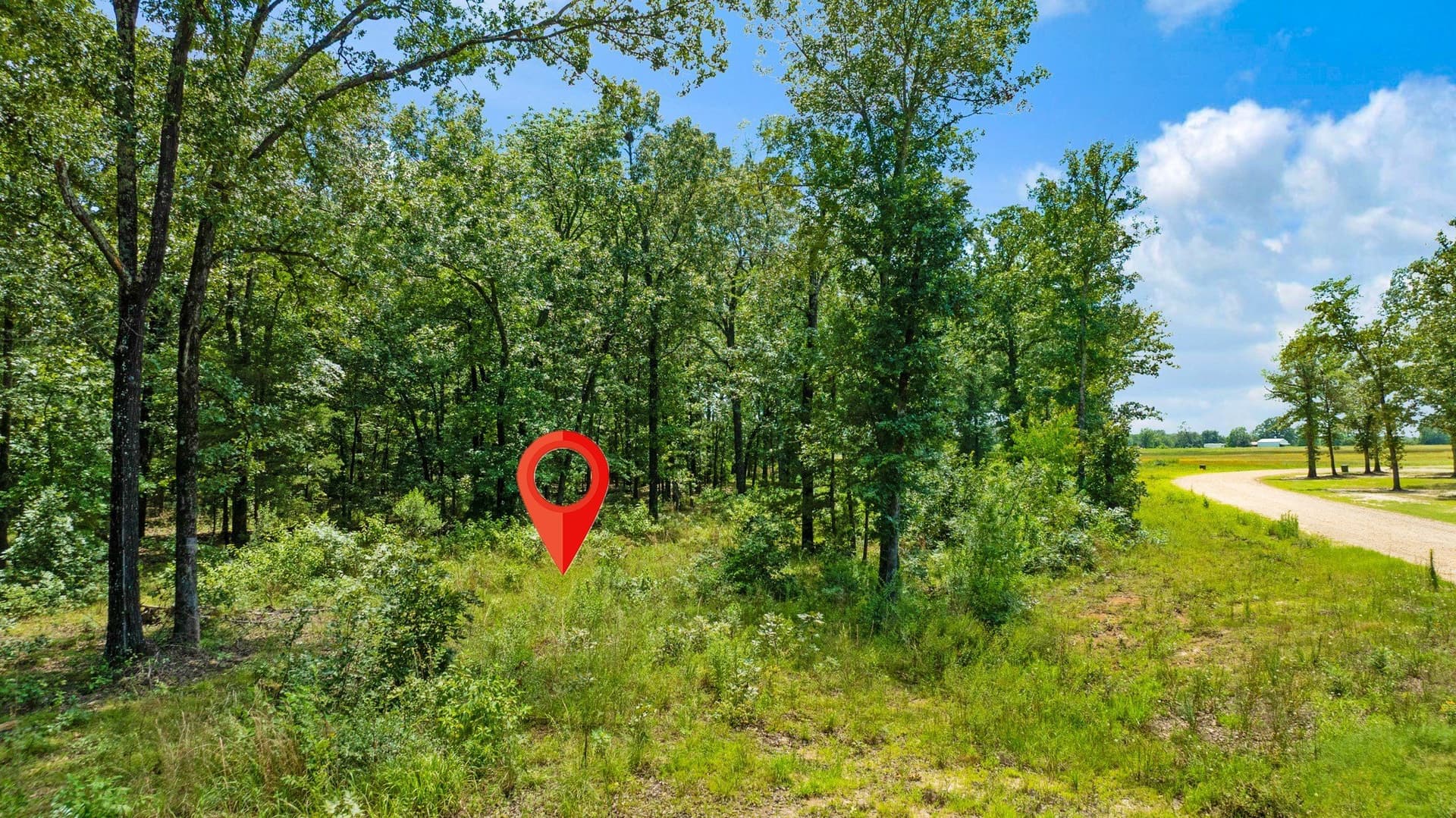 5.6 acres in Lamar County - photo 16