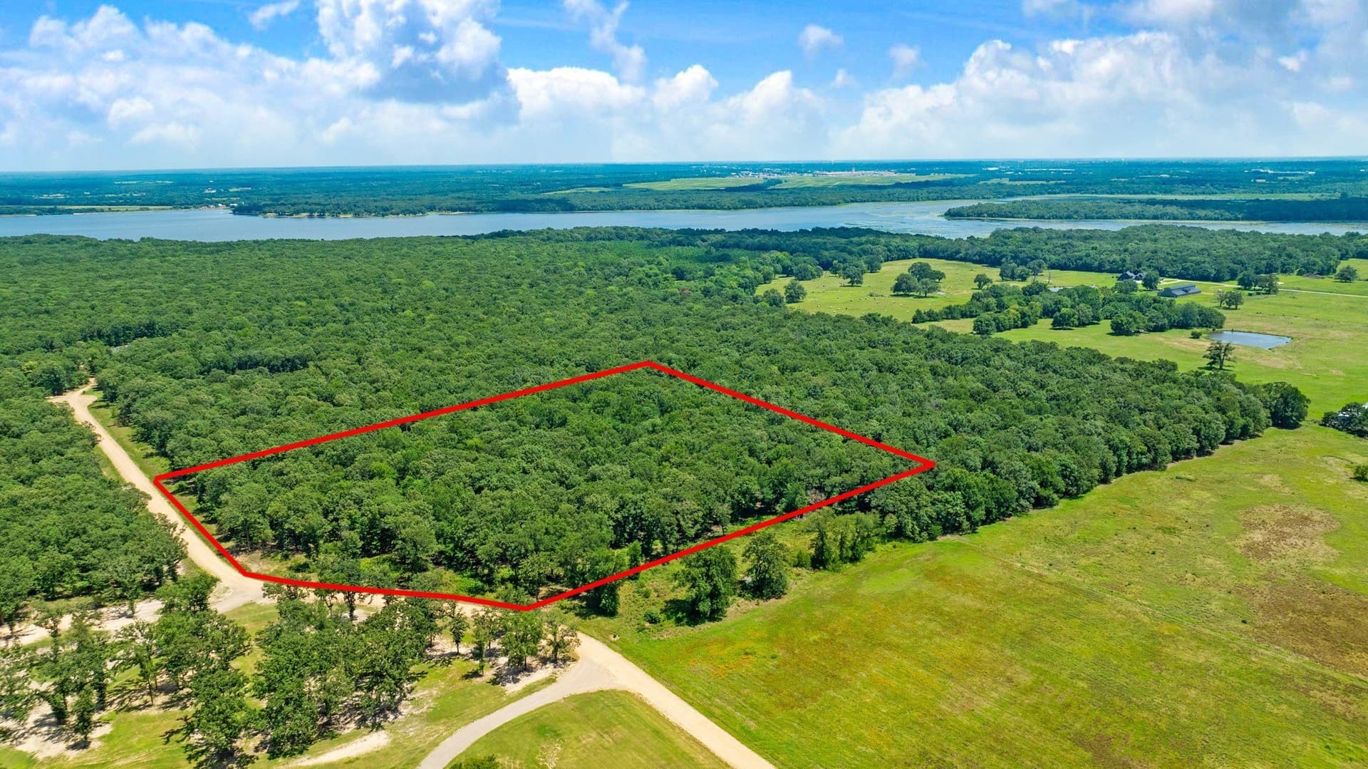 5.6 acres in Lamar County gallery image 4