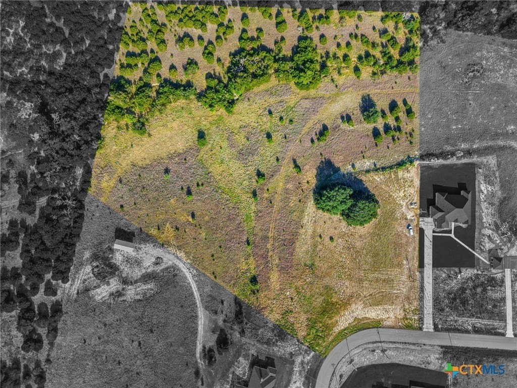11.02 acres in Coryell County gallery image 4