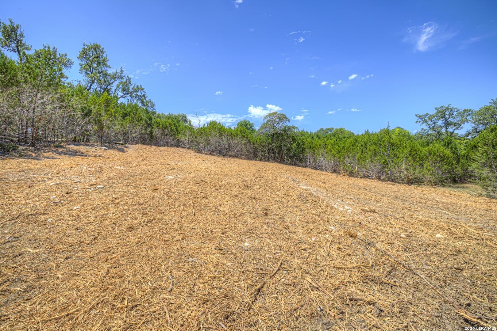 0.51 acres in Comal County - photo 9