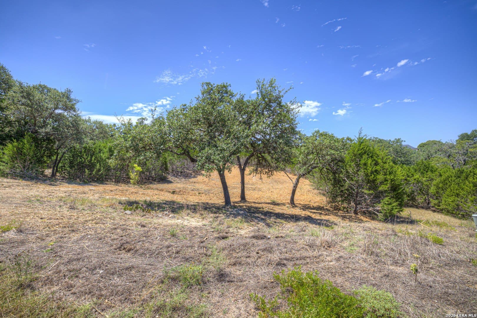 0.51 acres in Comal County - photo 6