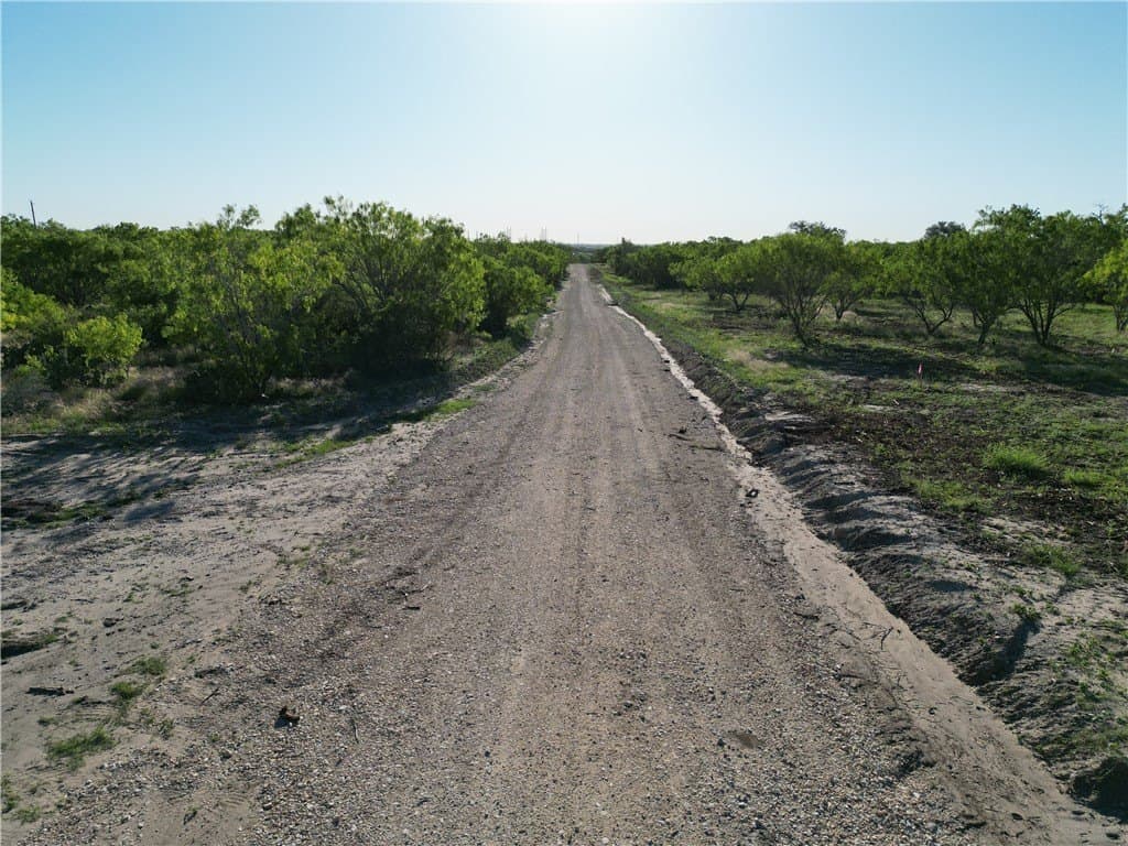 0 acres in Live Oak County gallery image 4