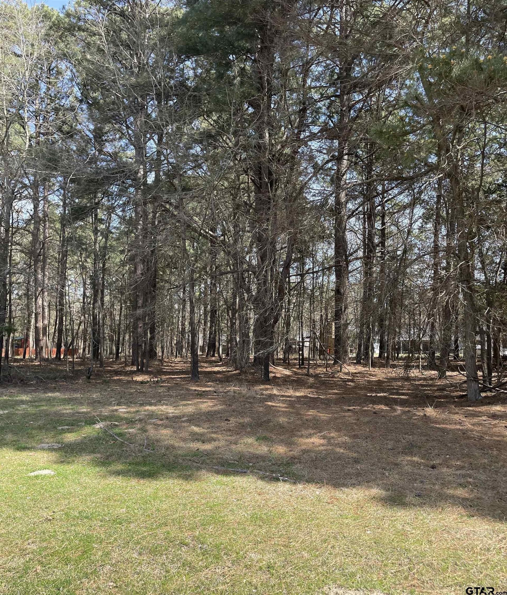 1.38 acres in Camp County gallery image 3