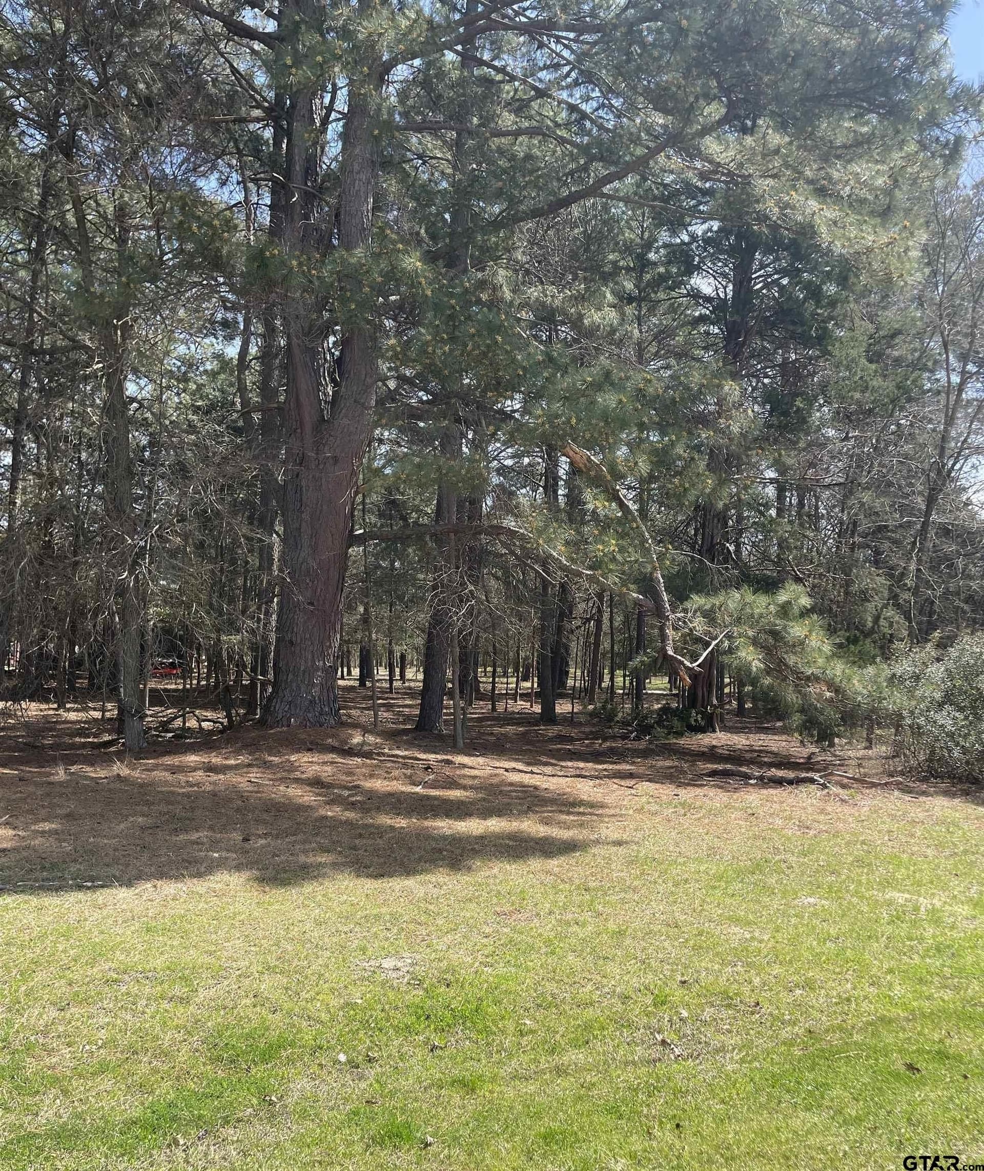1.38 acres in Camp County gallery image 2