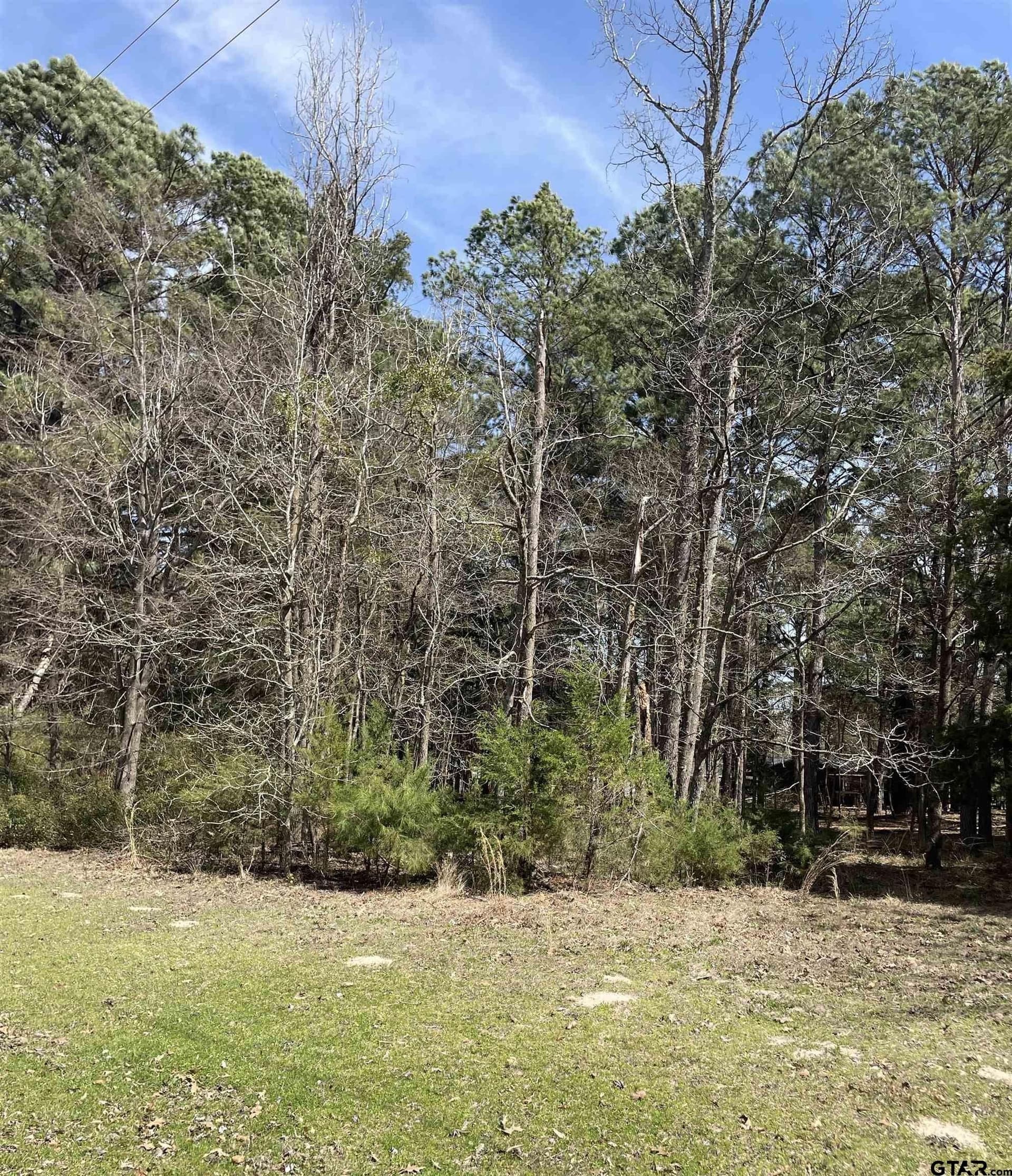 1.38 acres in Camp County gallery image 4