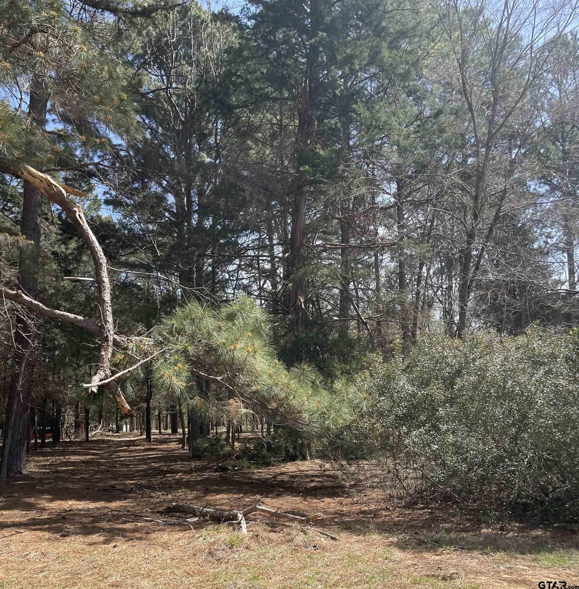 1.38 acres in Camp County featured view