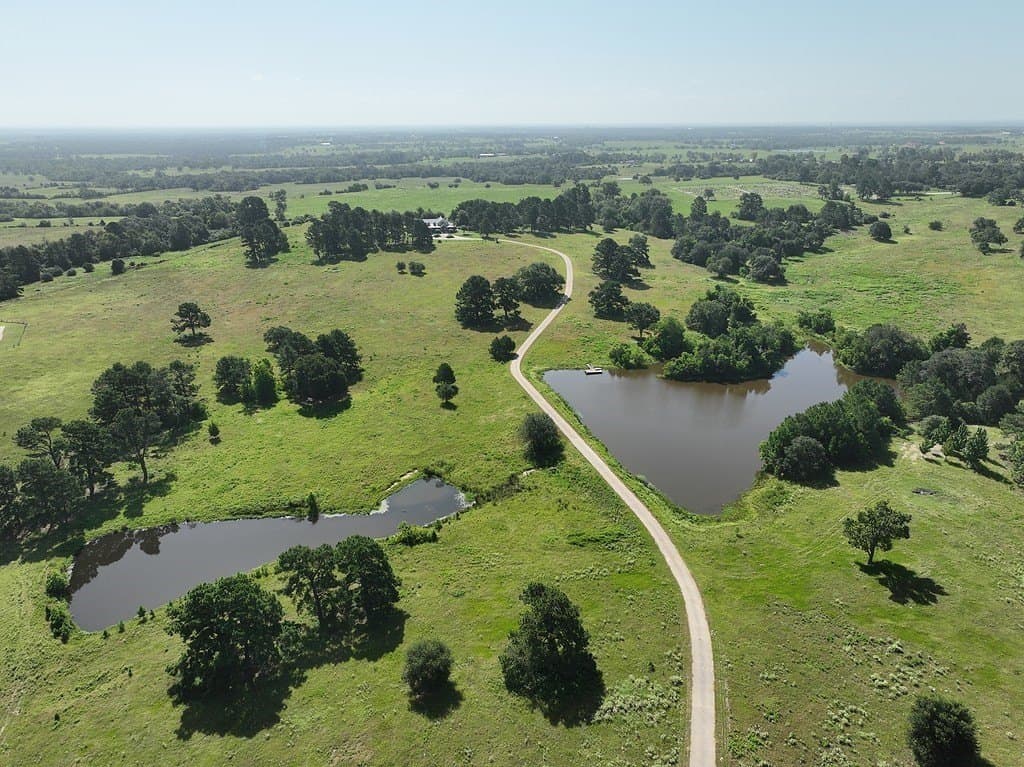 108.65 acres in Austin County gallery image 2
