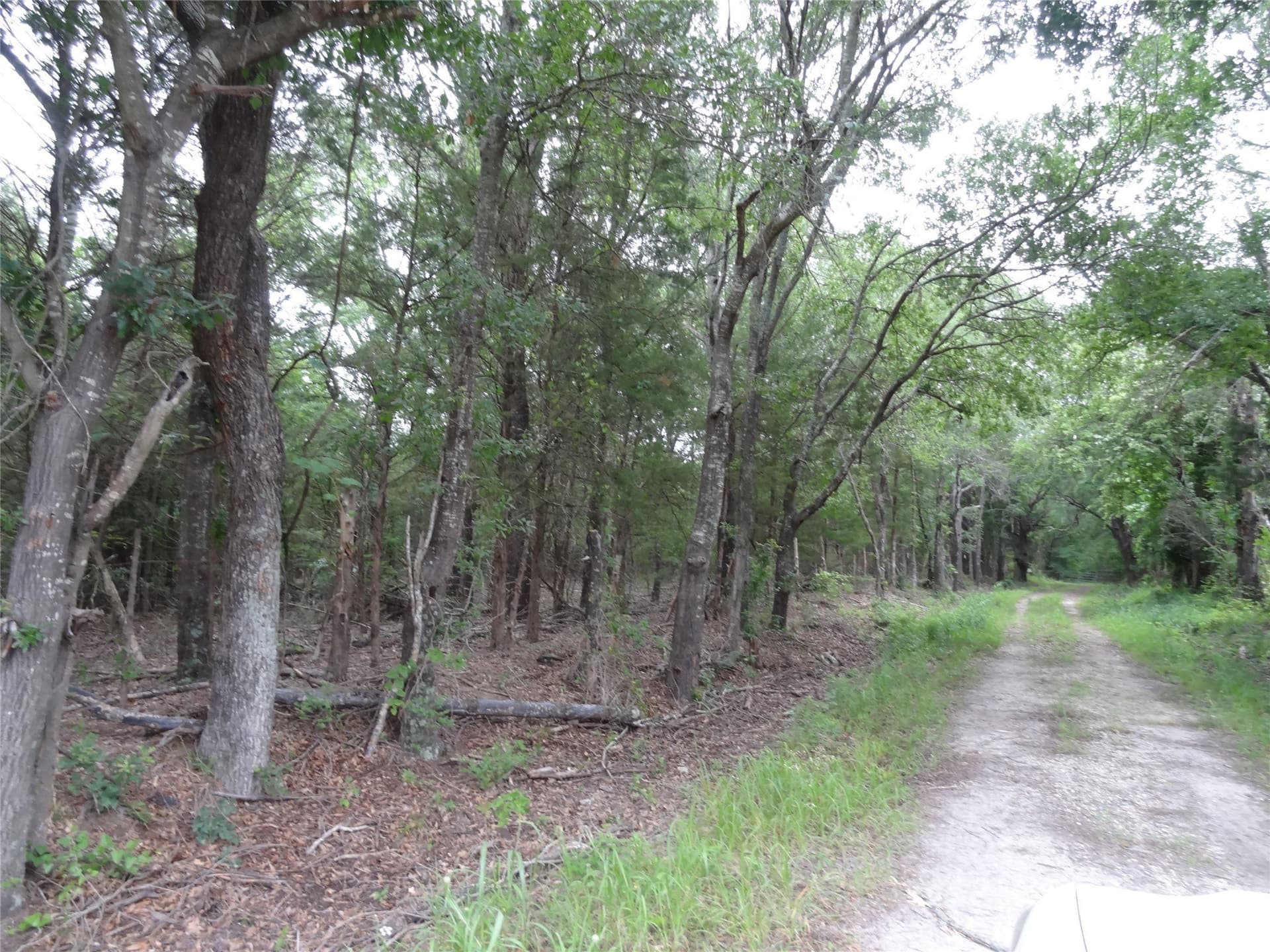 10 acres in Van Zandt County - photo 7