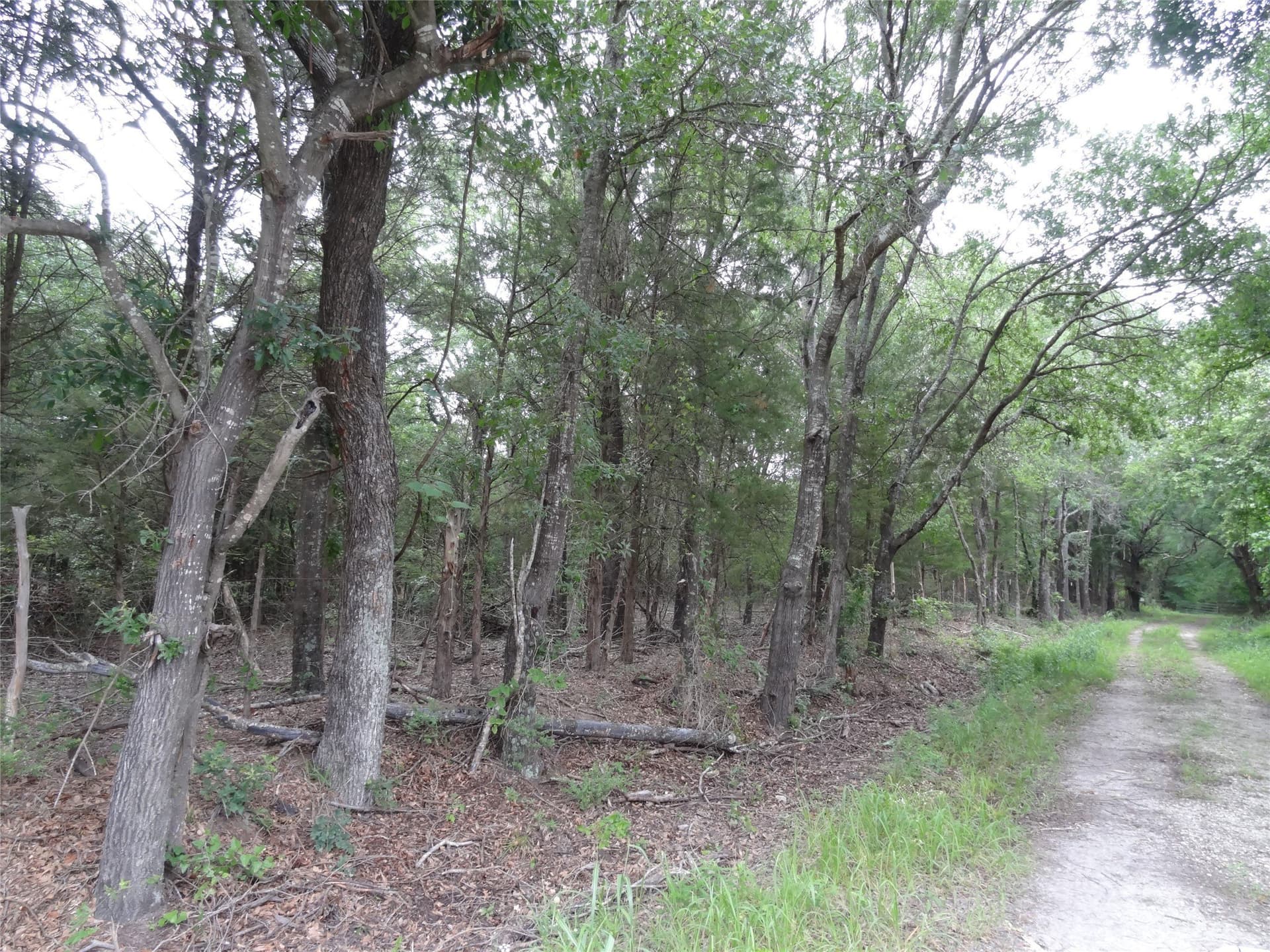 10 acres in Van Zandt County gallery image 4