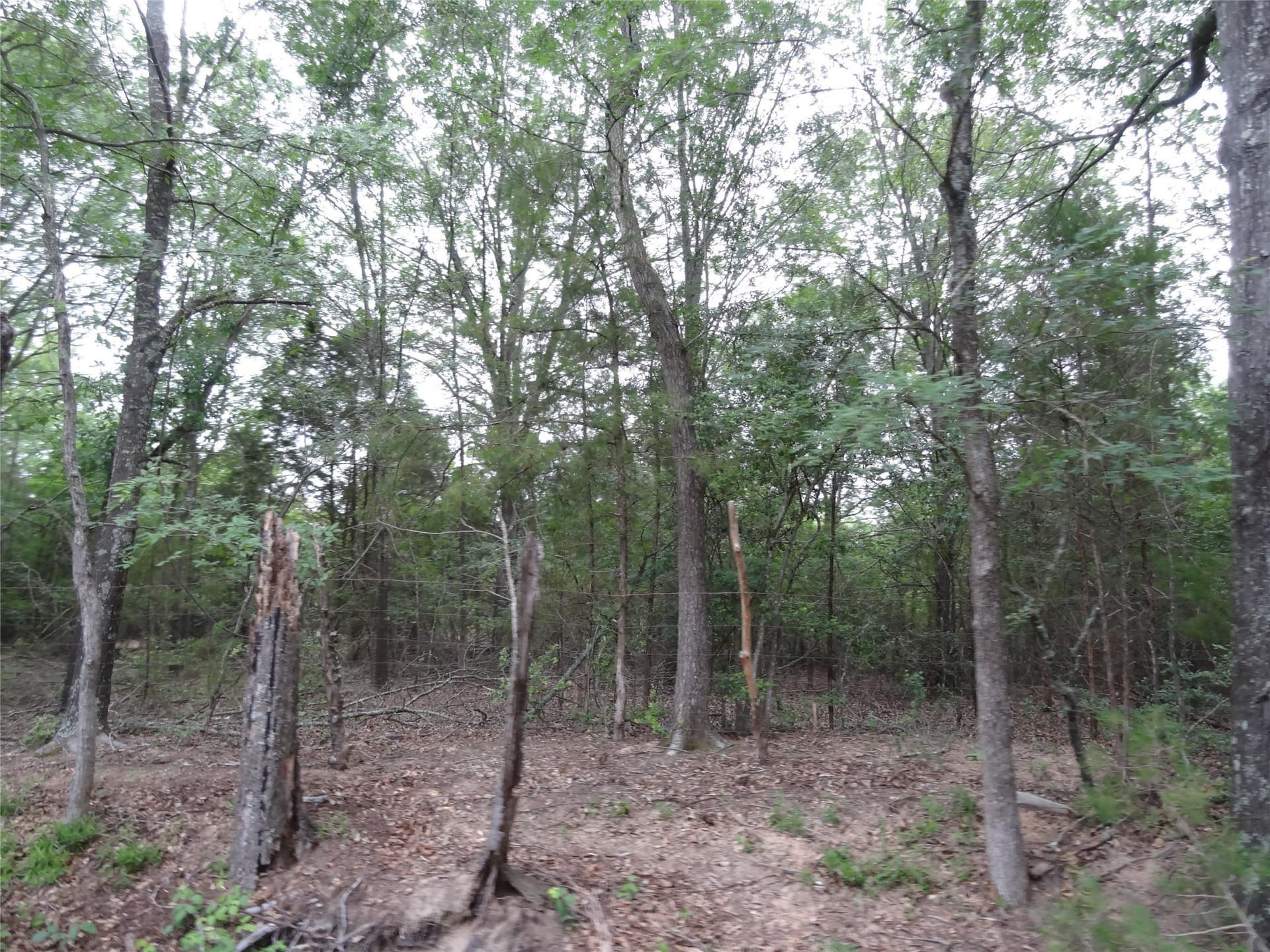 10 acres in Van Zandt County - photo 8