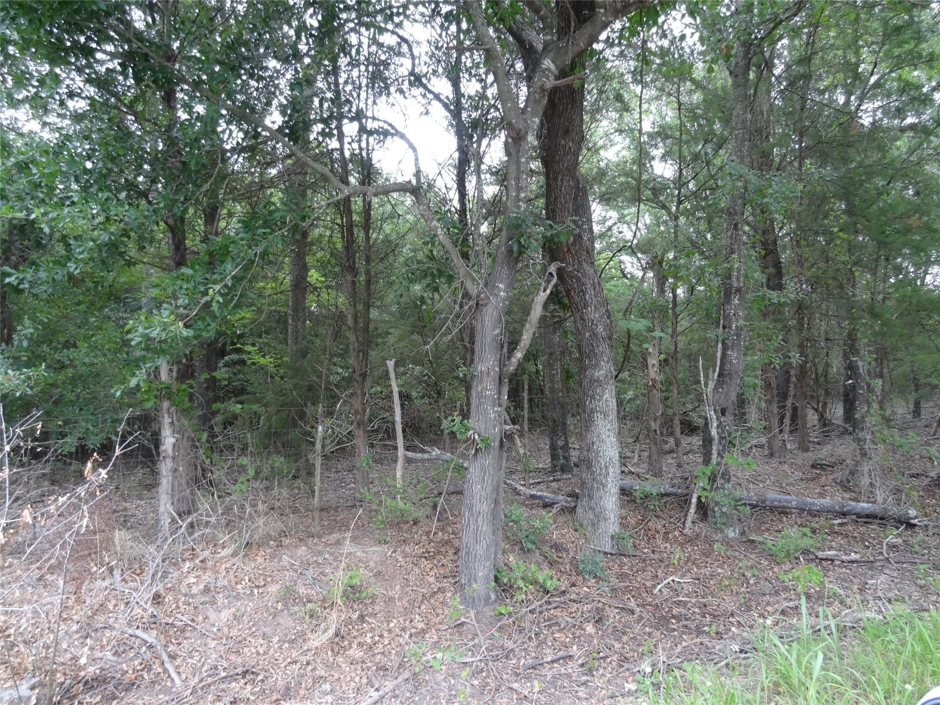 10 acres in Van Zandt County - photo 6