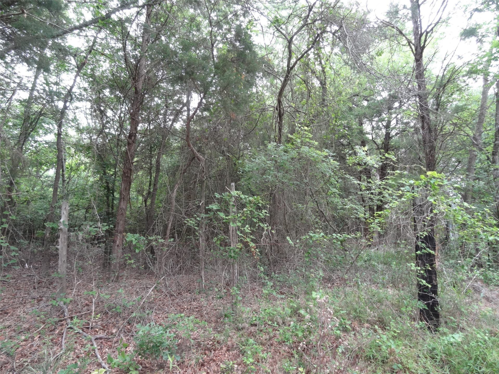10 acres in Van Zandt County - photo 9
