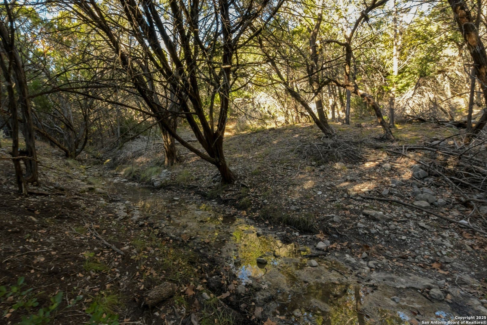 10 acres in Bandera County - photo 10