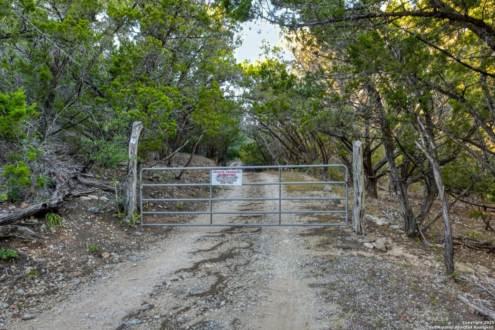 10 acres in Bandera County - photo 9