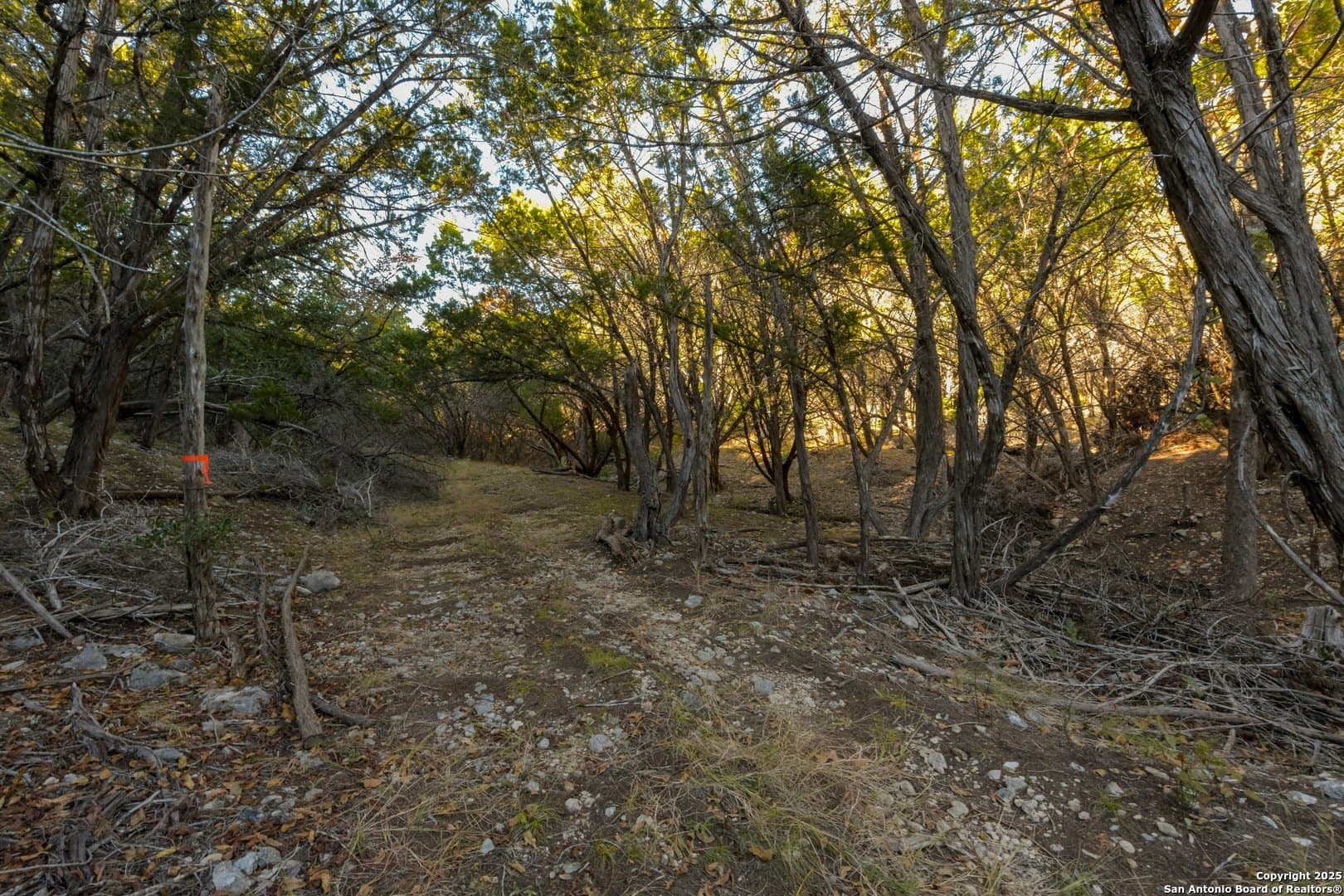 10 acres in Bandera County - photo 11
