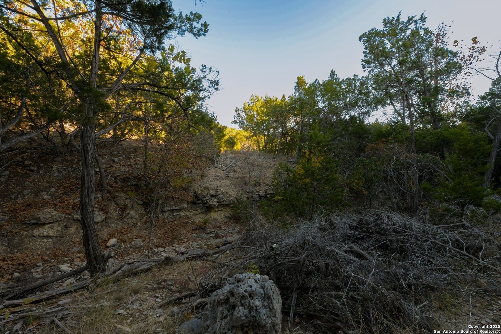 10 acres in Bandera County - photo 8