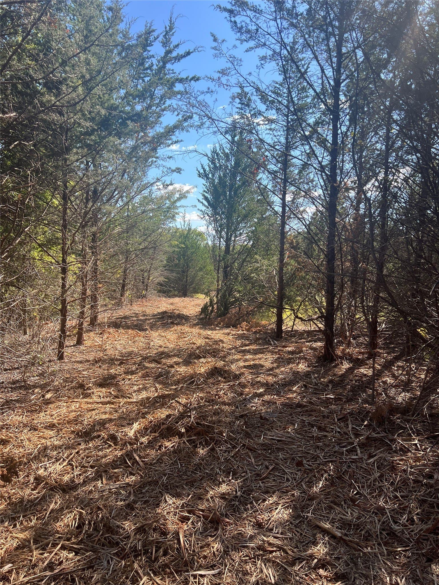 39.66 acres in Grayson County - photo 9