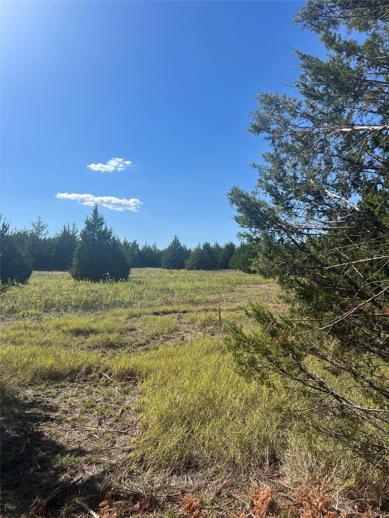 39.66 acres in Grayson County - photo 11