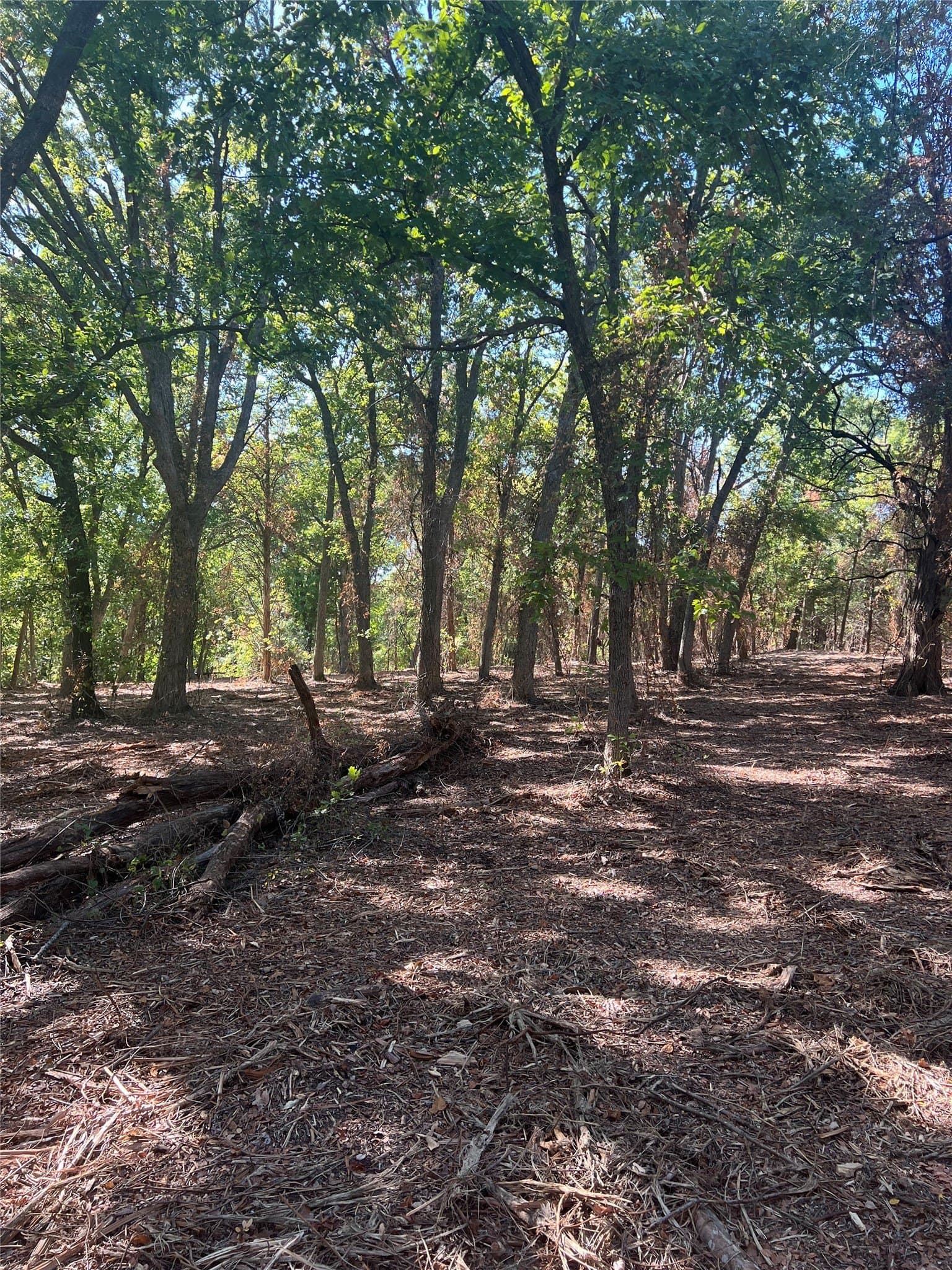 39.66 acres in Grayson County - photo 13