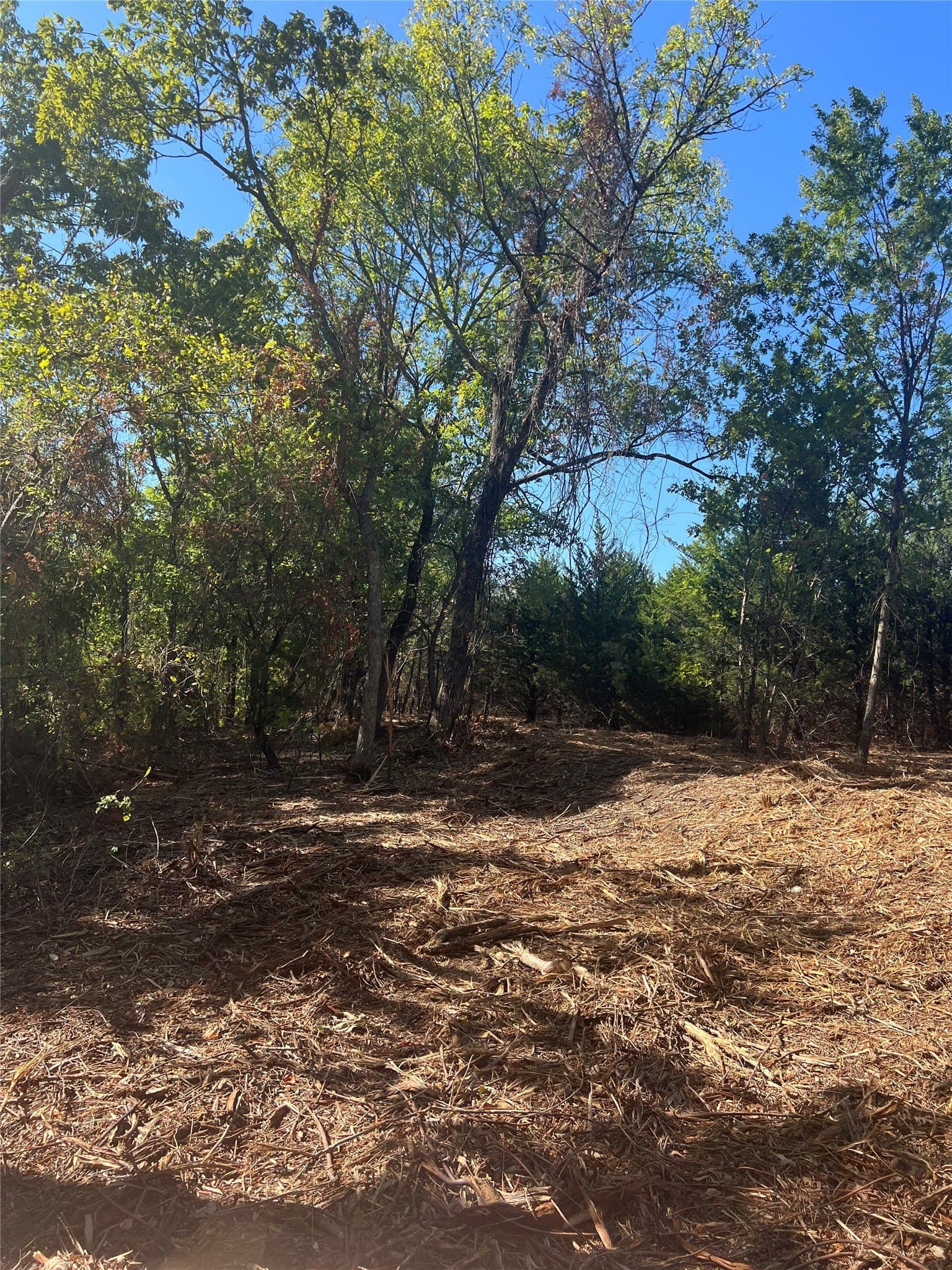 39.66 acres in Grayson County - photo 22