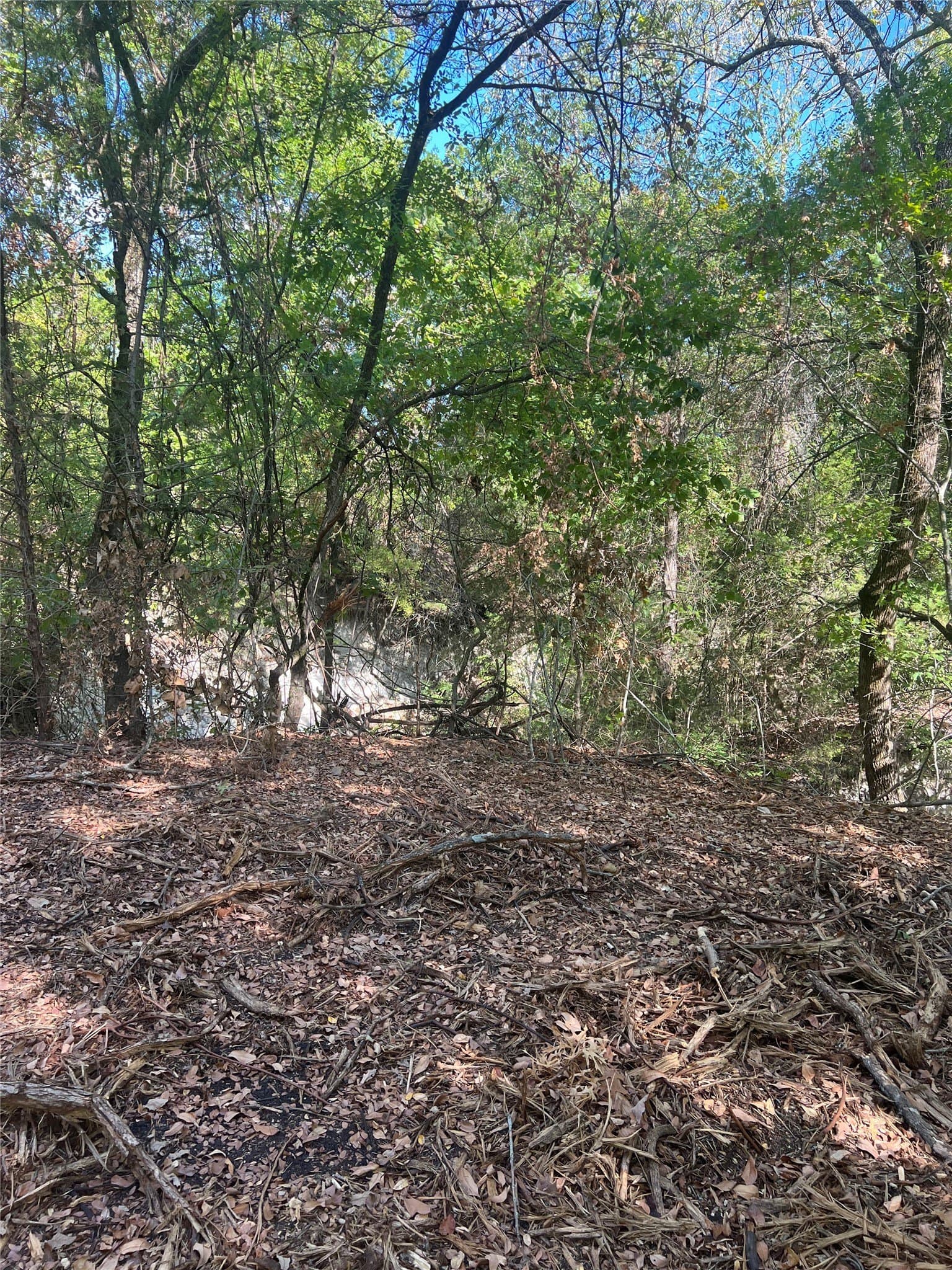 39.66 acres in Grayson County - photo 24