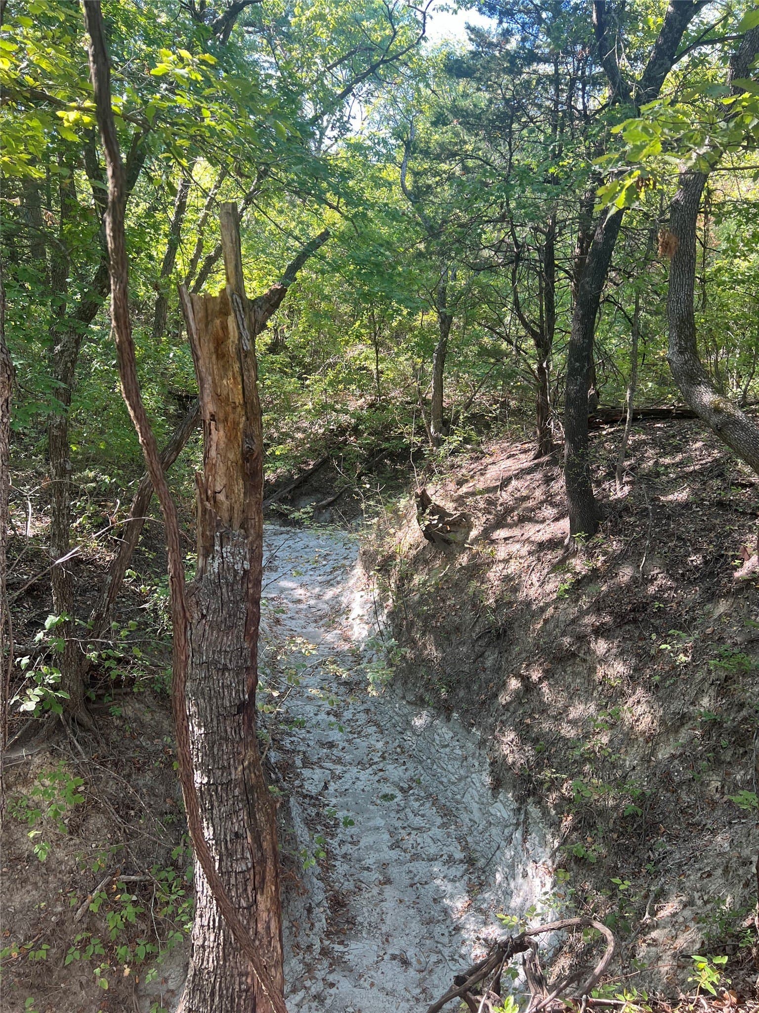 39.66 acres in Grayson County - photo 25
