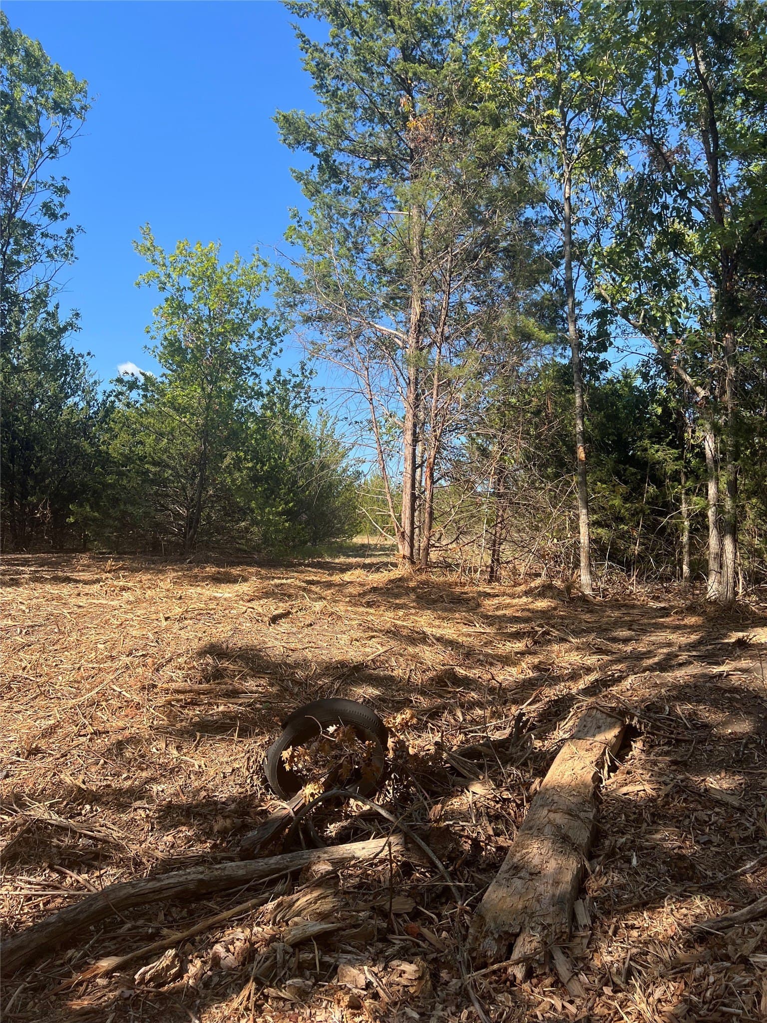 39.66 acres in Grayson County - photo 21