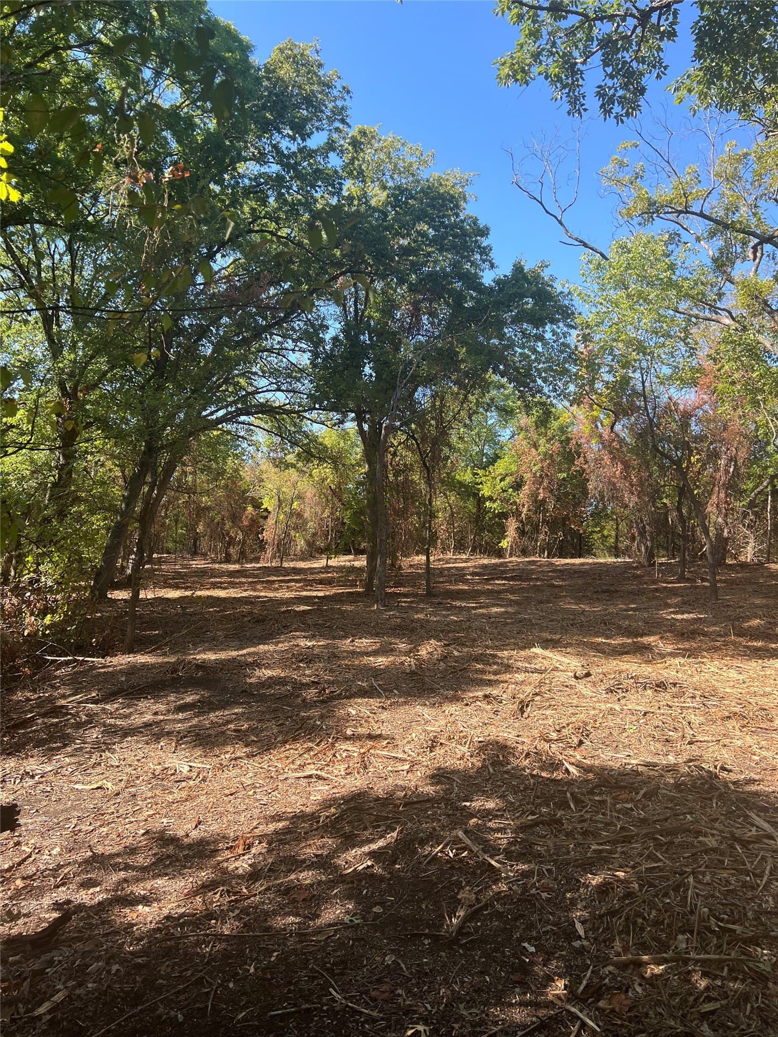 39.66 acres in Grayson County - photo 15