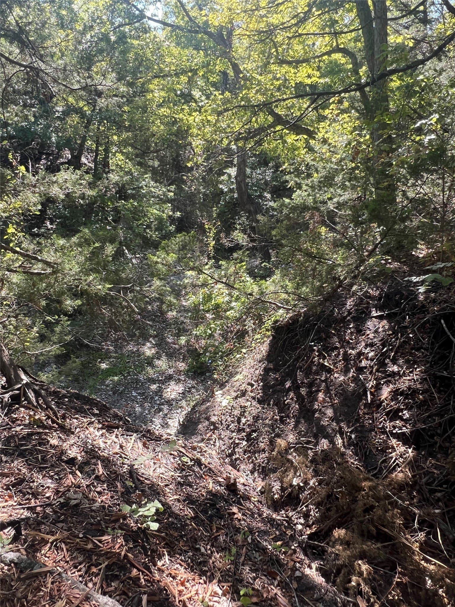 39.66 acres in Grayson County - photo 14
