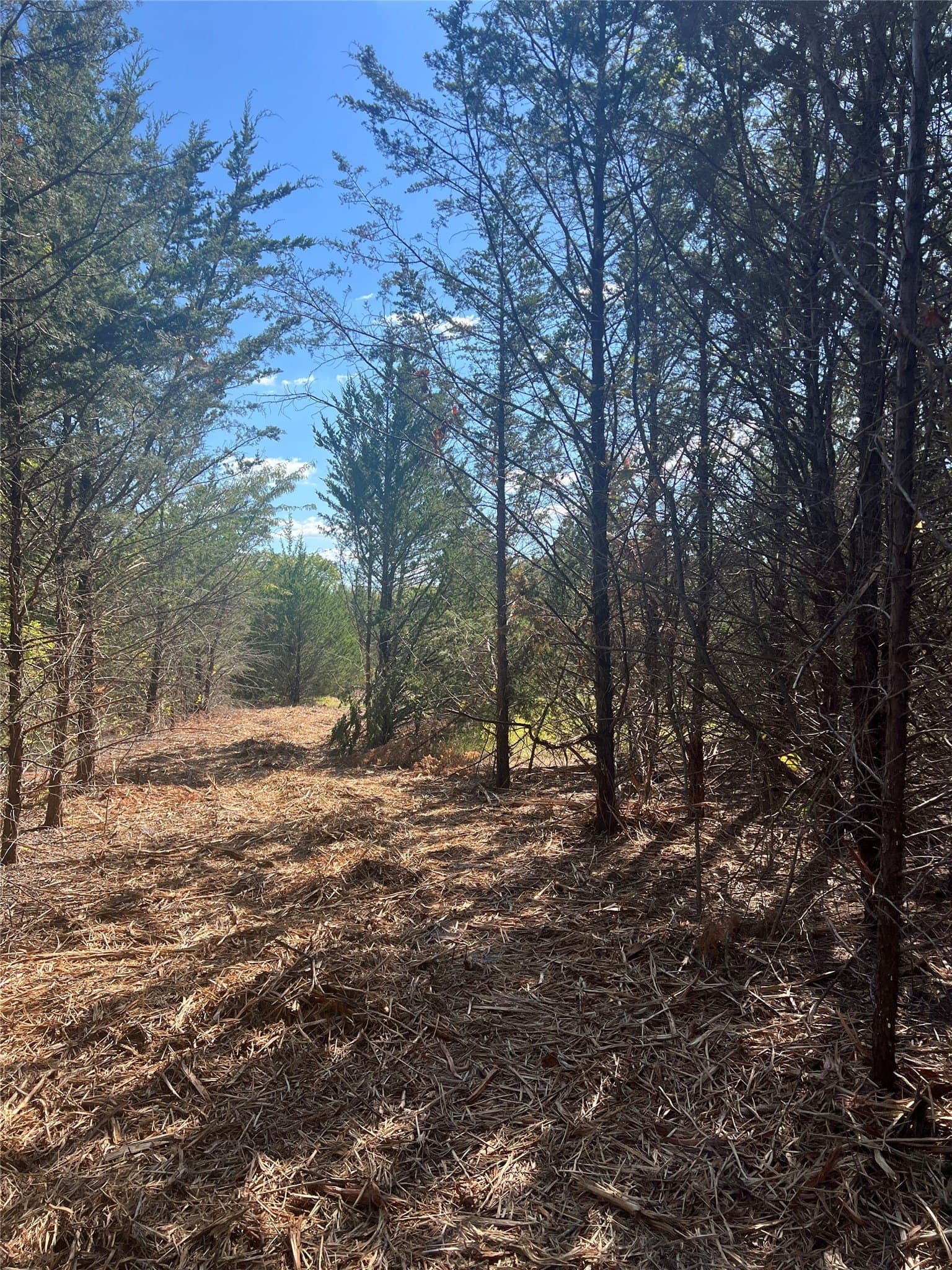 39.66 acres in Grayson County - photo 10