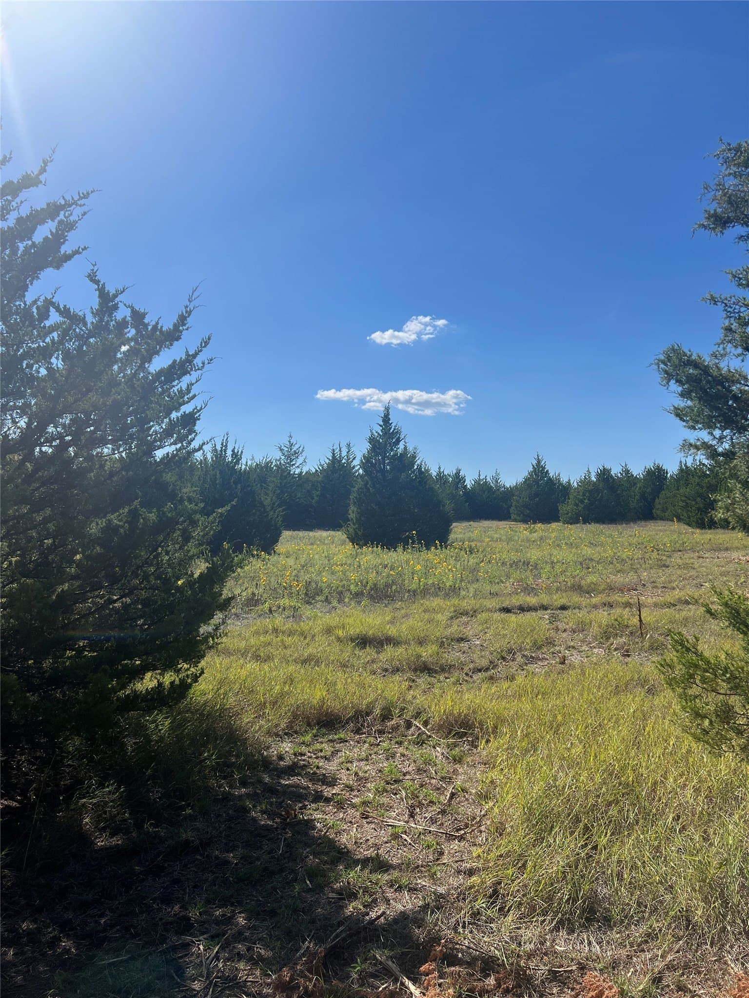 39.66 acres in Grayson County - photo 12