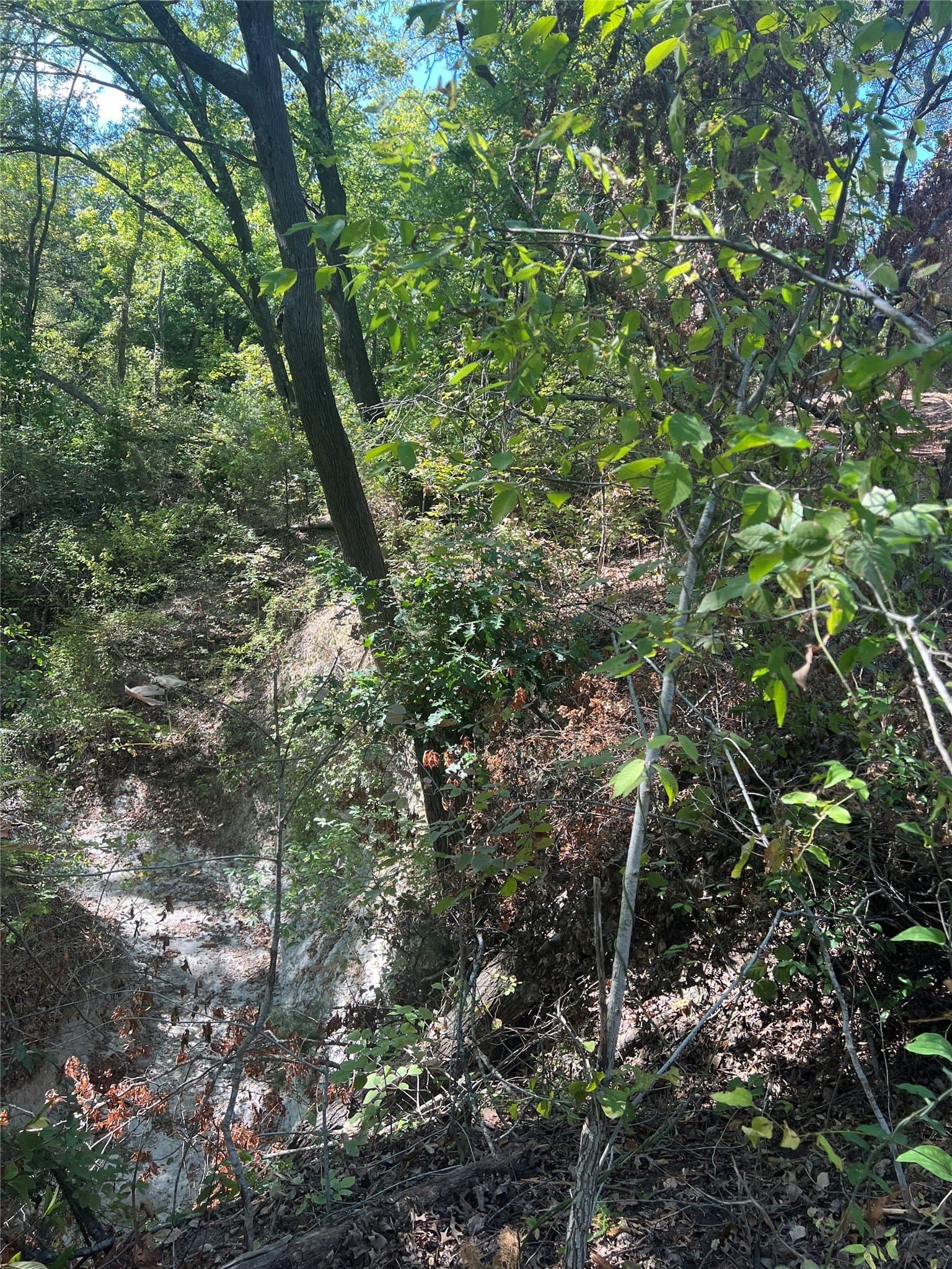 39.66 acres in Grayson County - photo 20