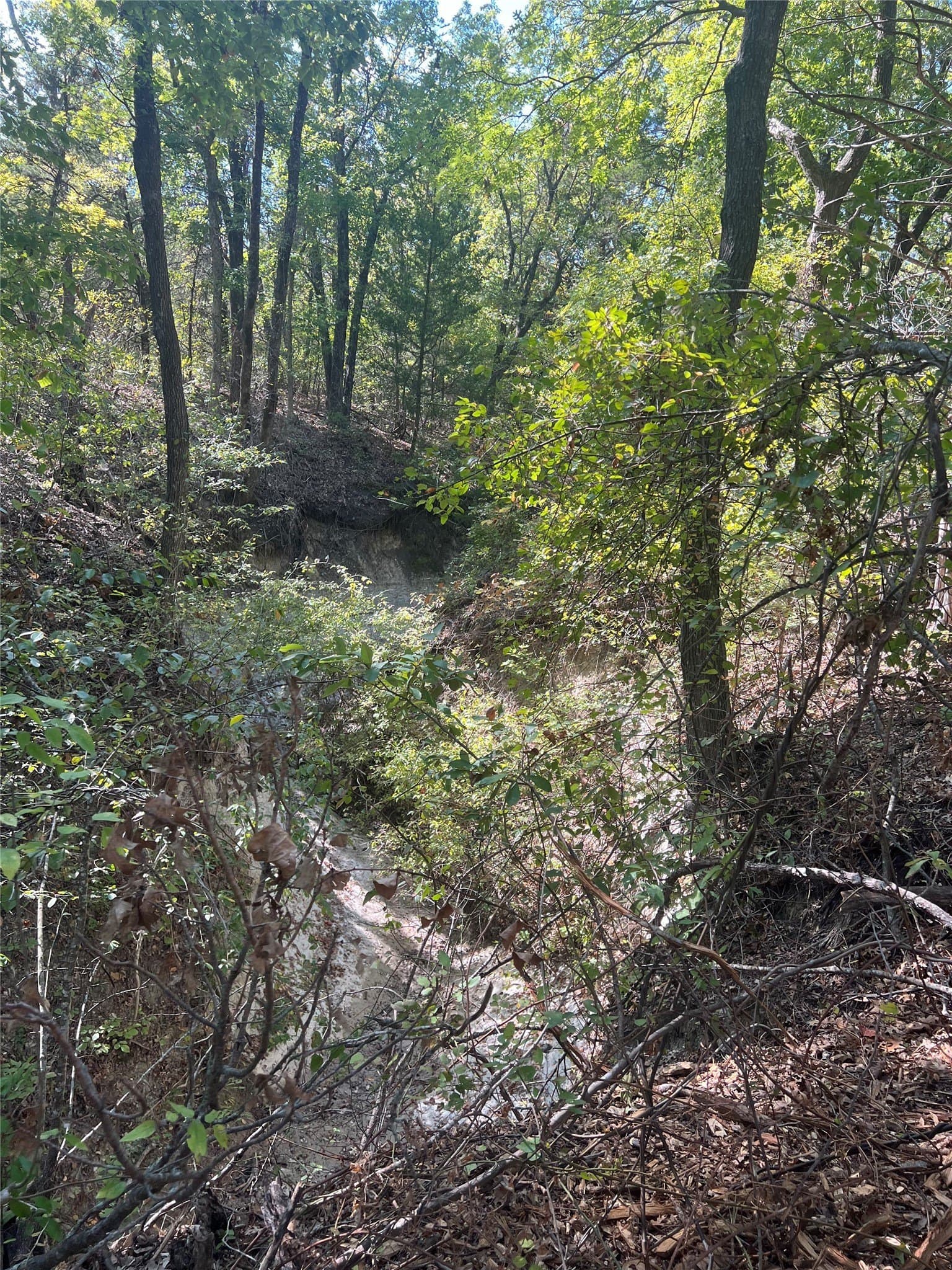 39.66 acres in Grayson County - photo 17