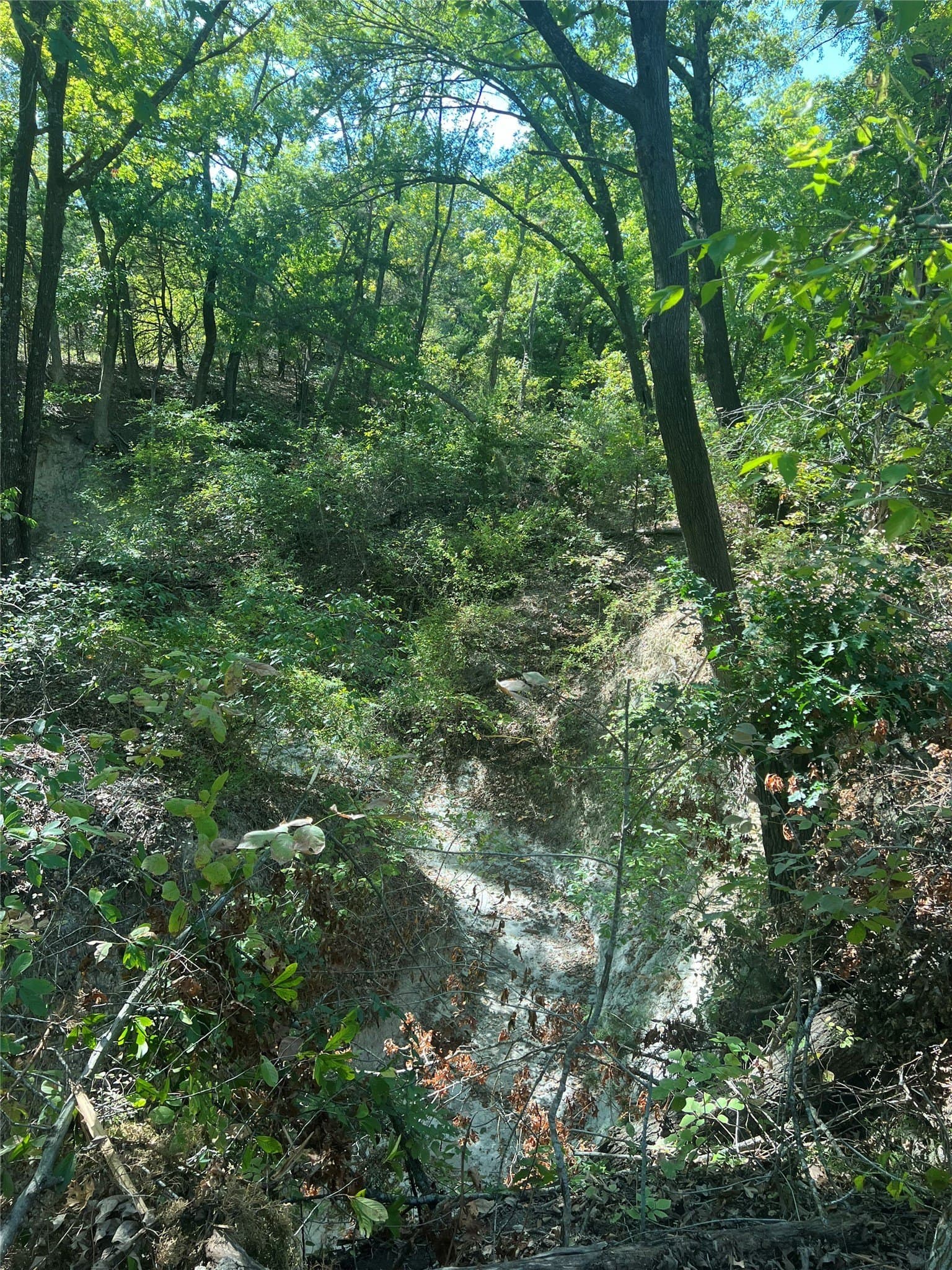 39.66 acres in Grayson County - photo 19