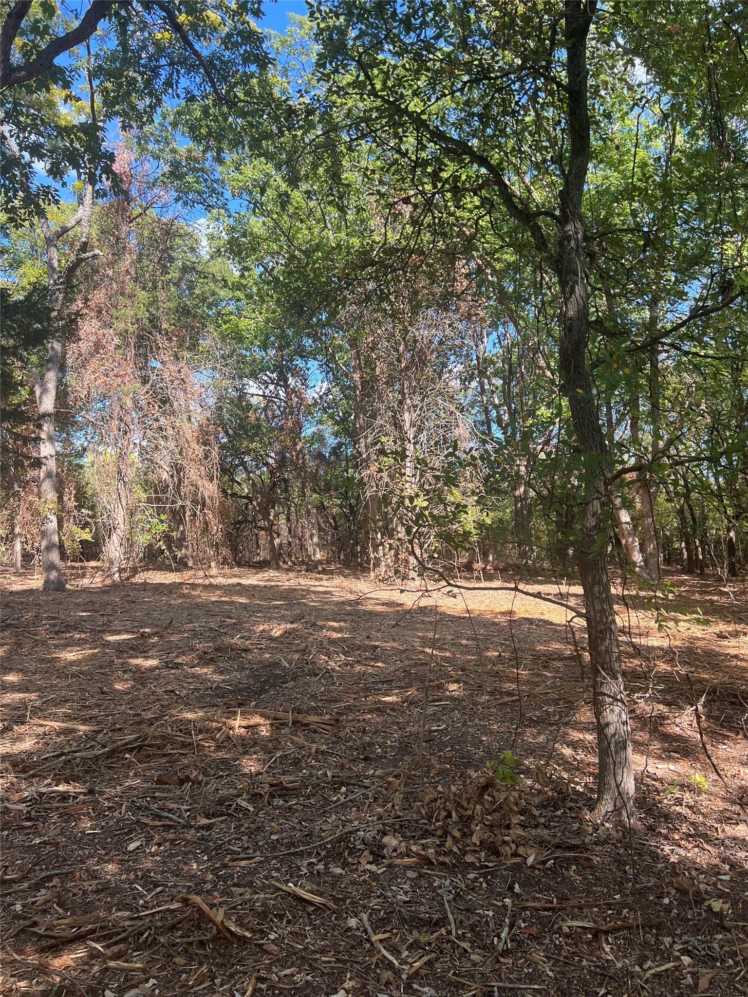 39.66 acres in Grayson County - photo 16