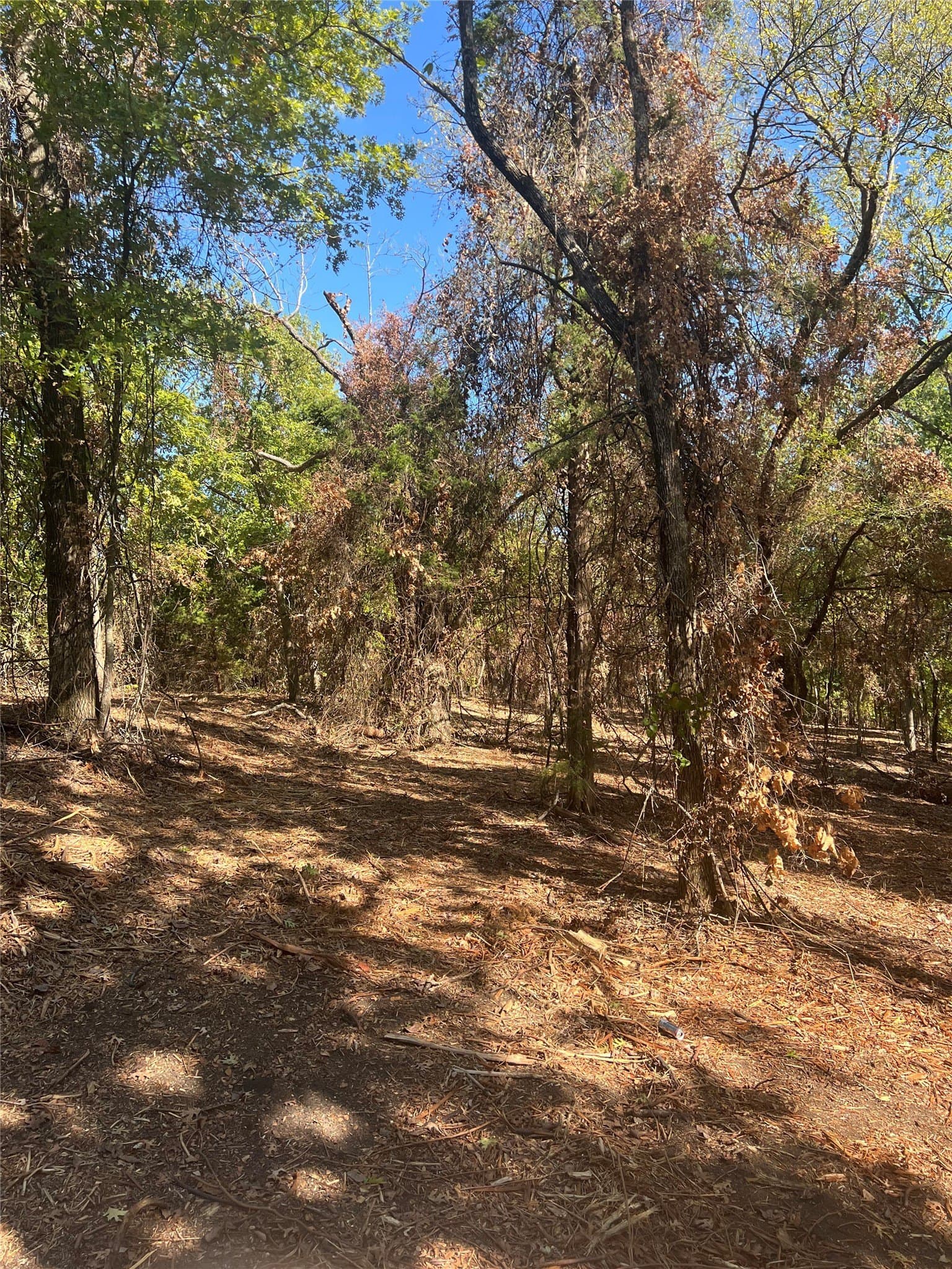 39.66 acres in Grayson County - photo 23