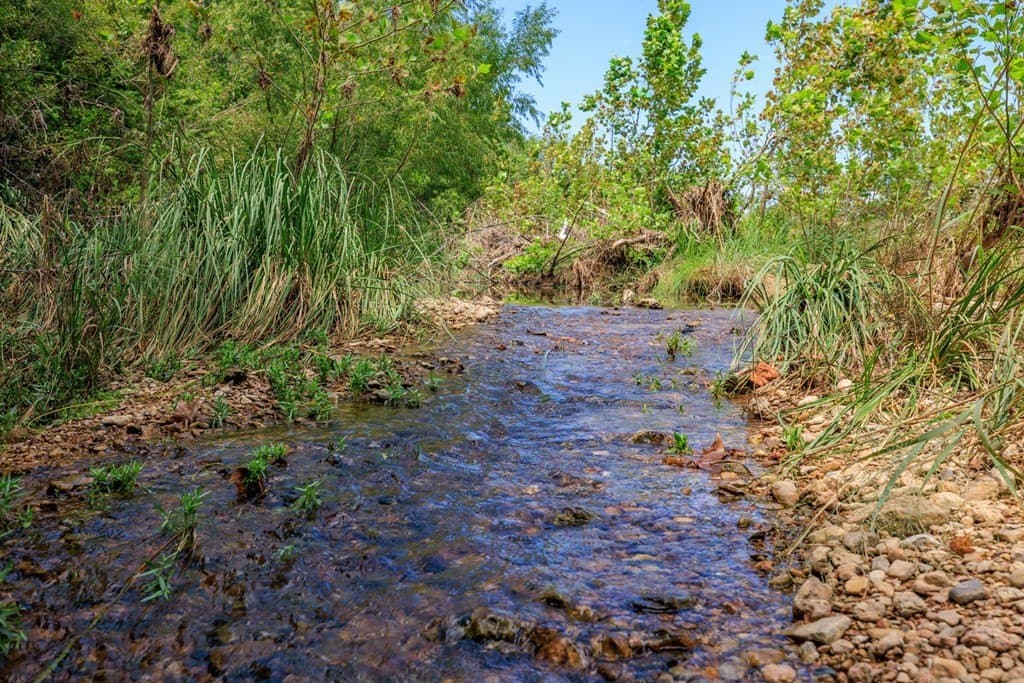 15 acres in Gillespie County gallery image 4