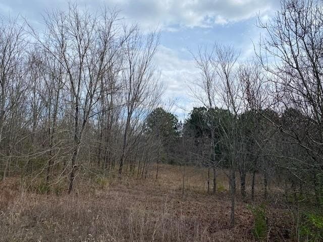 15.53 acres in Henderson County gallery image 2