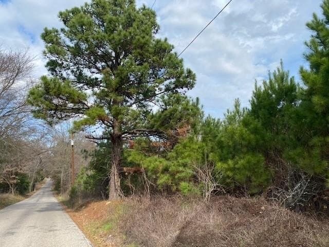 15.53 acres in Henderson County gallery image 4